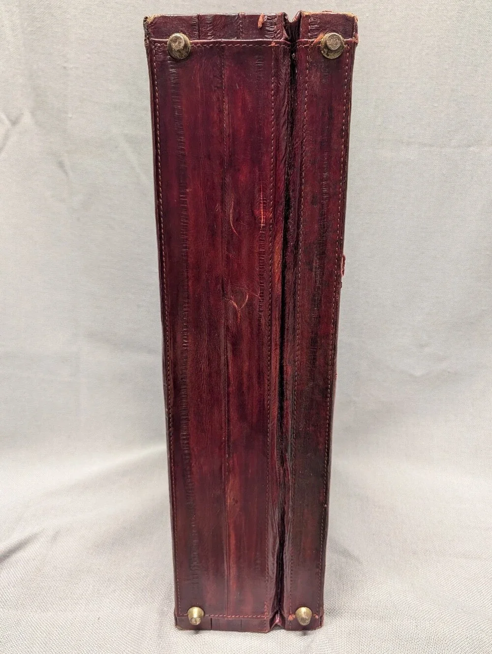 eel skin classic genuine